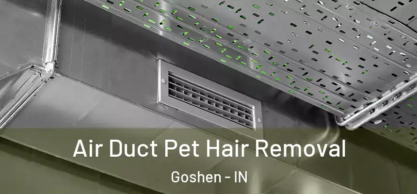  Air Duct Pet Hair Removal Goshen - IN