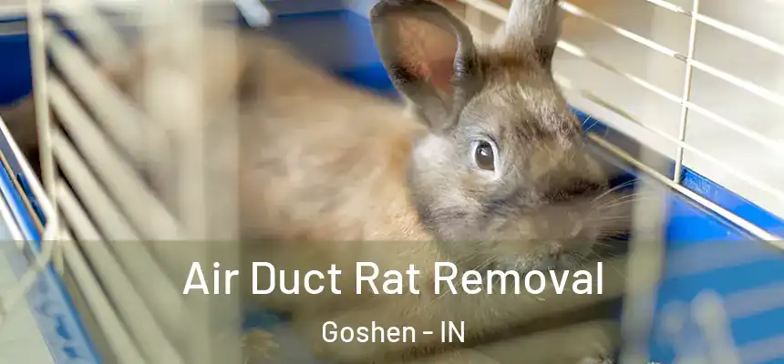  Air Duct Rat Removal Goshen - IN