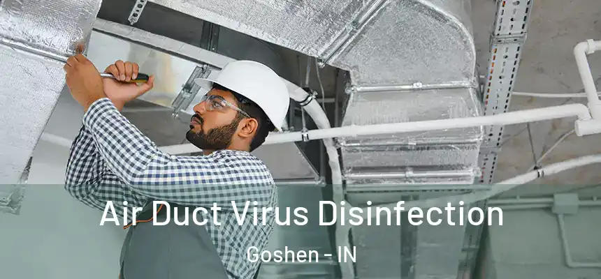  Air Duct Virus Disinfection Goshen - IN