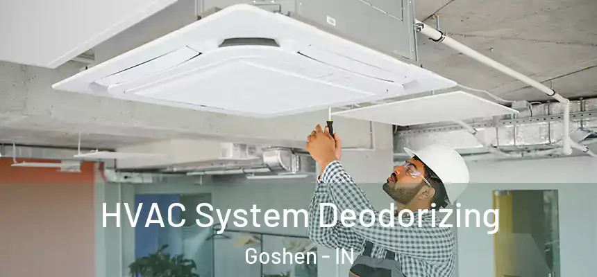  HVAC System Deodorizing Goshen - IN