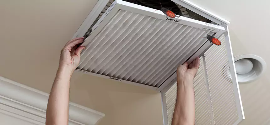 Preventive Cockroach-Proofing for Ducts in Goshen