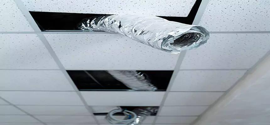 Affordable HVAC Sanitizing After Pest Removal in Goshen