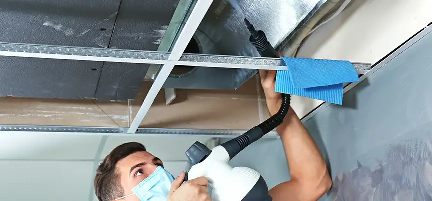 Our Air Duct Rodent Removal Services in Goshen, IN