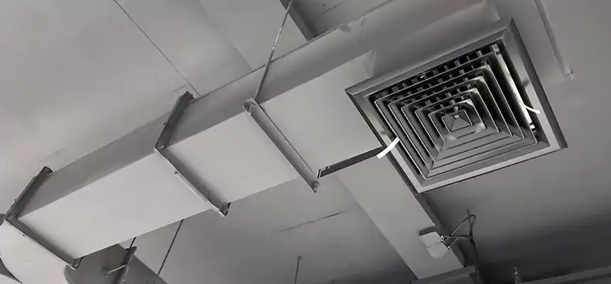 Restorative Allergy Relief Vent Cleaning – Coil, Blower & Housing Detail in Goshen