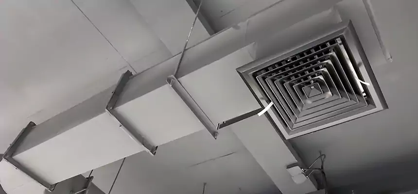 Our Pest Removal From Ducts Services in Goshen, IN