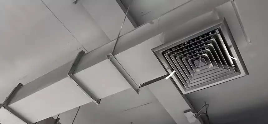 Our Rodent Droppings In Vents Services in Goshen, IN