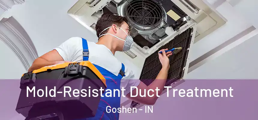  Mold-Resistant Duct Treatment Goshen - IN